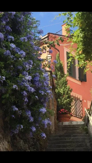Foto 1 di 29: VENDESI VILLA CON PISCINA A CHIAVARI