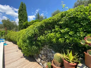 Foto 22 di 29: VENDESI VILLA CON PISCINA A CHIAVARI