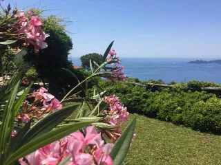Foto 7 di 29: VENDESI VILLA CON PISCINA A CHIAVARI