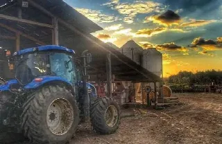 Foto 3 di 5: Vendesi lotto agricolo di grandi dimensioni a Martinengo