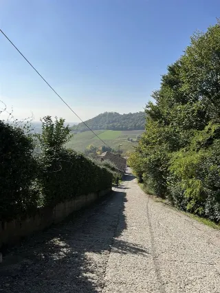 Foto 16 di 27: AMPIA CASCINA ADATTA A TRE NUCLEI FAMILIARI
