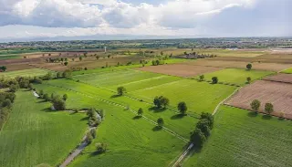 Foto 3 di 4: Terreni e fabbricati agricoli in vendita