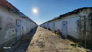 Foto 3 di 13: LOTTO AGRICOLO CON CASCINA E CAPANNONI ANNESSI