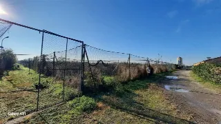 Foto 9 di 13: LOTTO AGRICOLO CON CASCINA E CAPANNONI ANNESSI