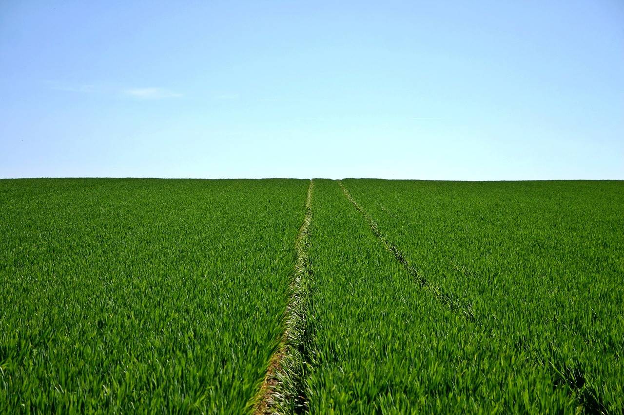 Ampio appezzamento agricolo a Bergamo zona pedecollinare