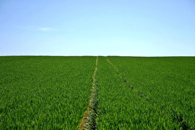 Ampio appezzamento agricolo a Bergamo zona pedecollinare