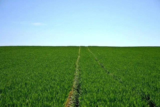 Ampio appezzamento agricolo a Bergamo zona pedecollinare