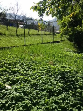 Foto 16 di 19: Rustico casale in vendita a Peia Bergamo