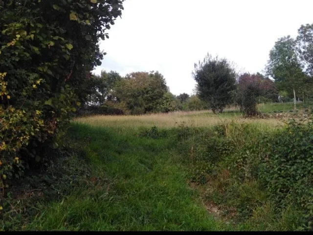 Terreno agricolo (varie colture catastali) in vendita
