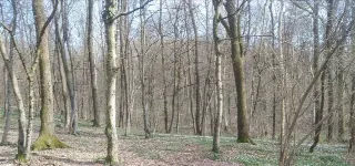Foto 1 di 1: Terreno agricolo in posizione soleggiata in vendita