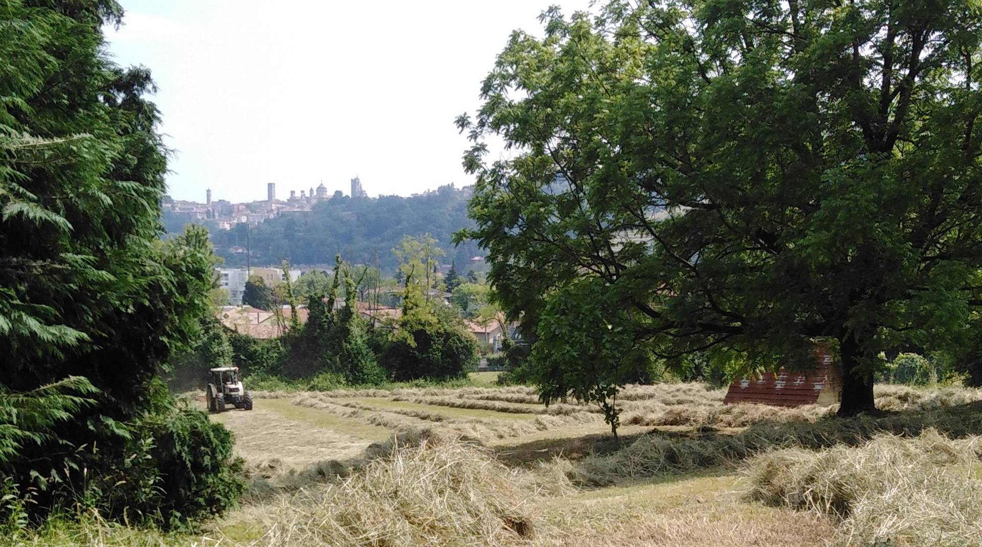 Terreno agricolo in affitto a Bergamo