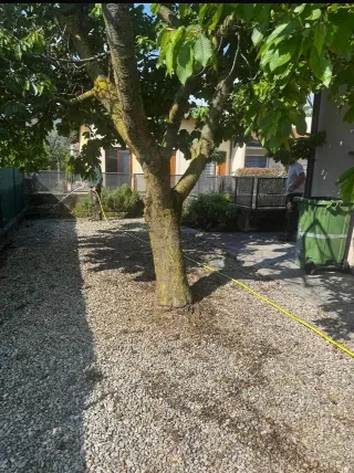 Foto 10 di 13: Cedesi attività di Bar caffetteria con dehor e parcheggio privato